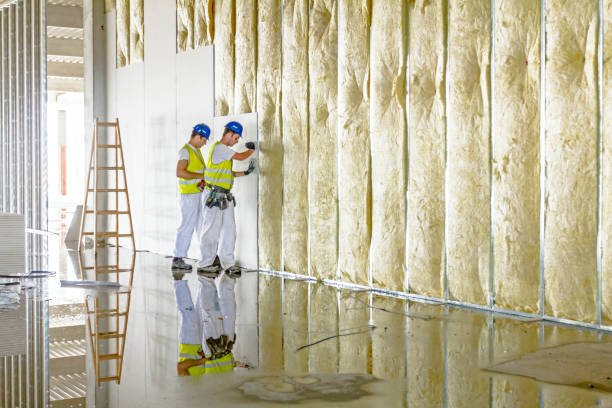 Best Insulation Contractor Near Me  in Caribou, ME